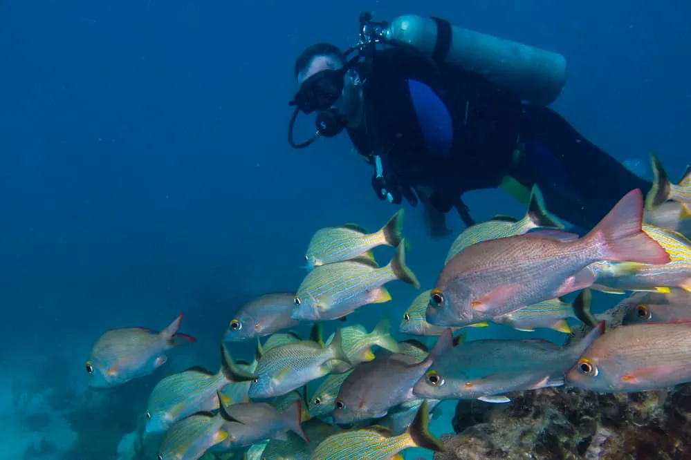 Playa Herradura Costa Rica