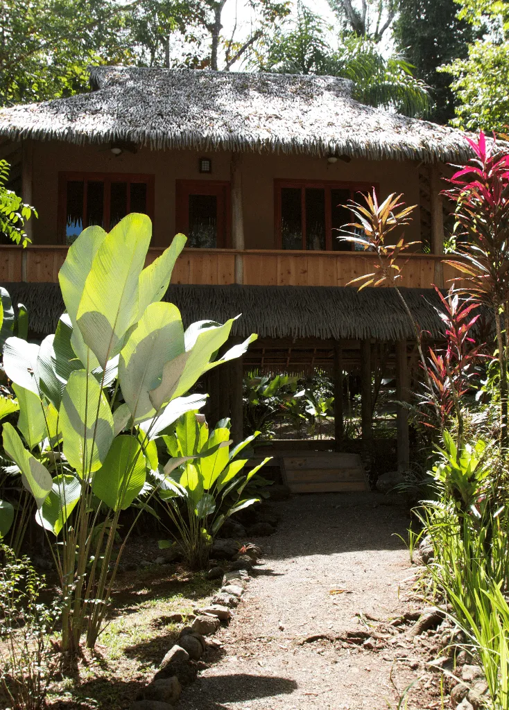 A house with a thatched roof.