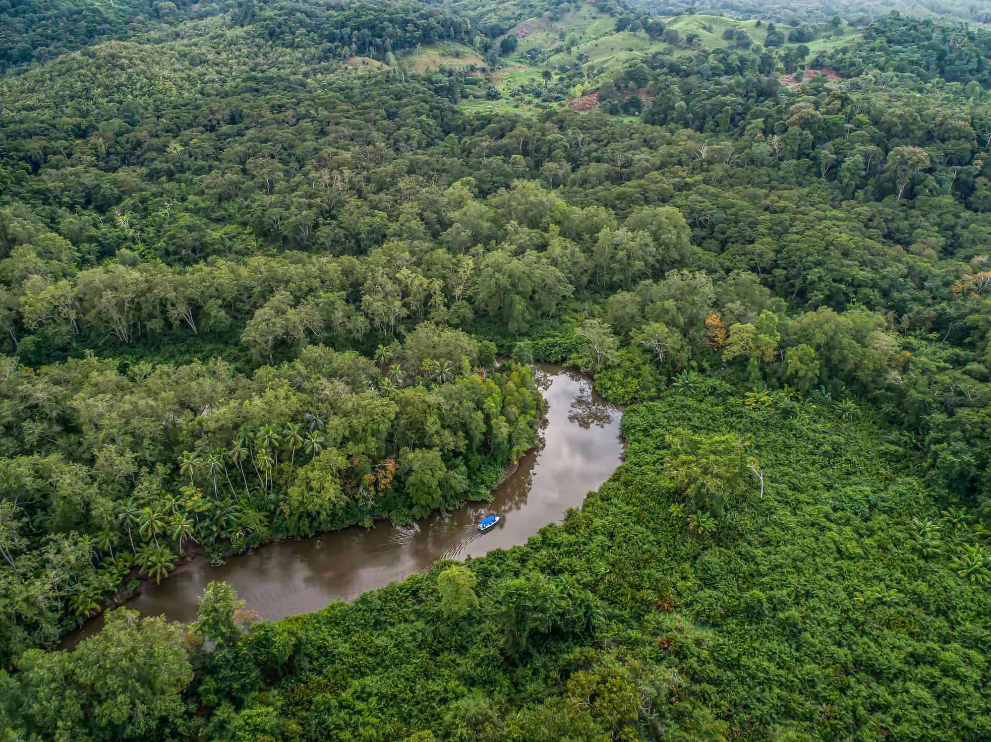 An aerial view of sierpe river in the jungle