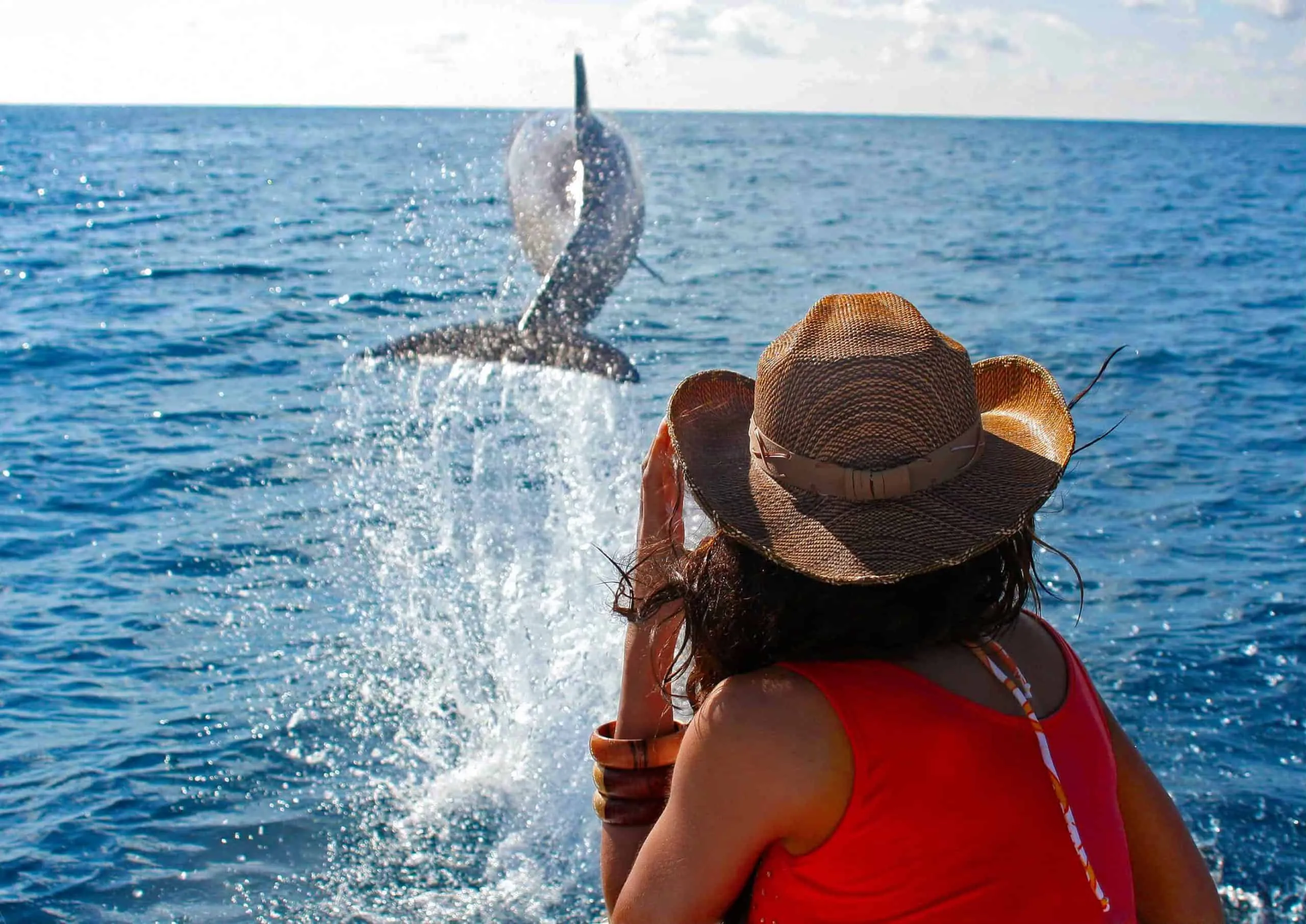 A woman in a hat is riding a boat while a dolphin jumps out of the water.
