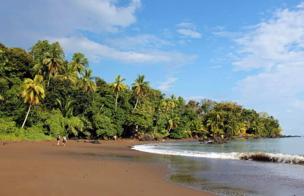 The Best Spots to Fish in Drake Bay Costa Rica