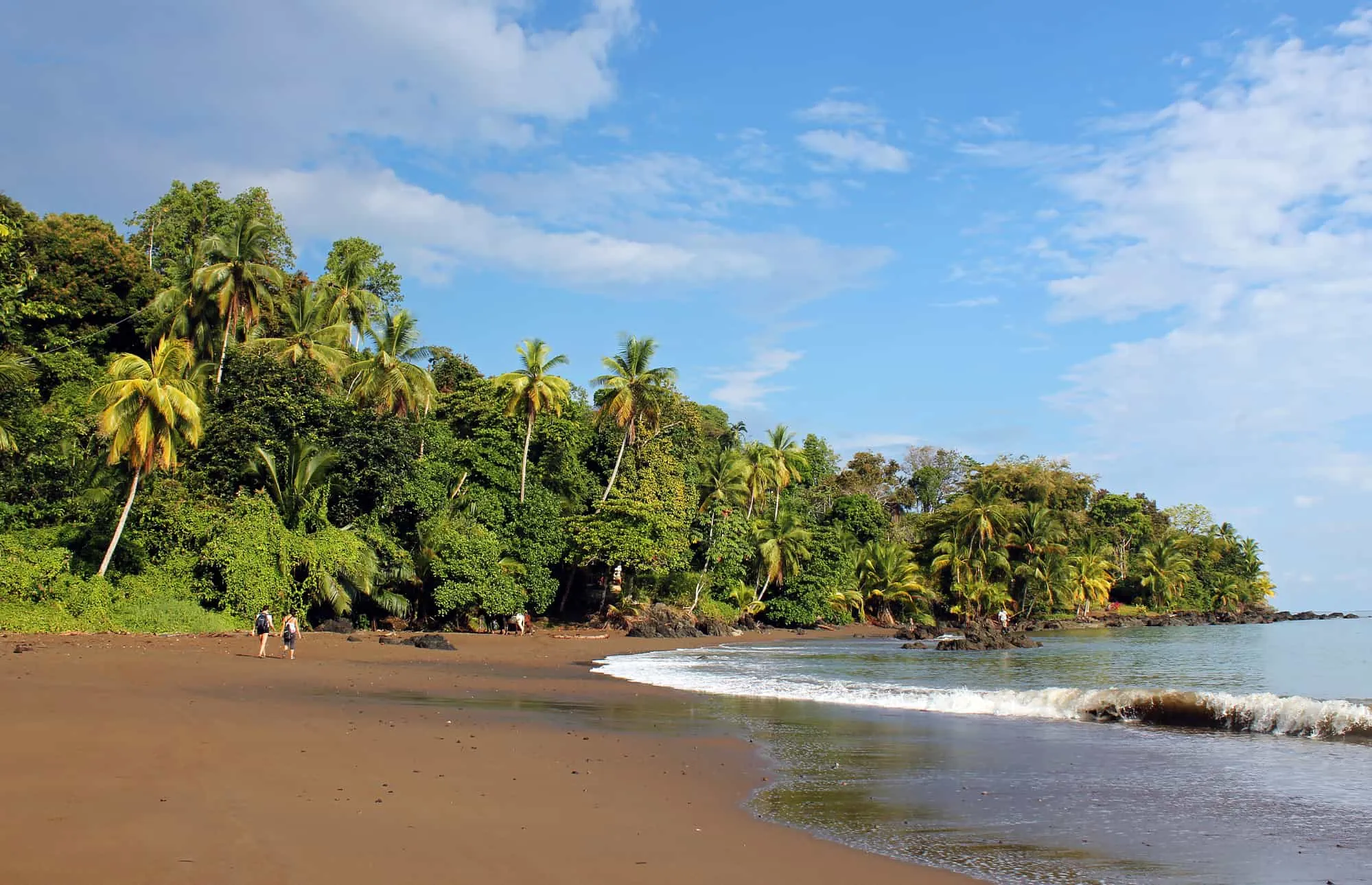 The Best Spots to Fish in Drake Bay Costa Rica
