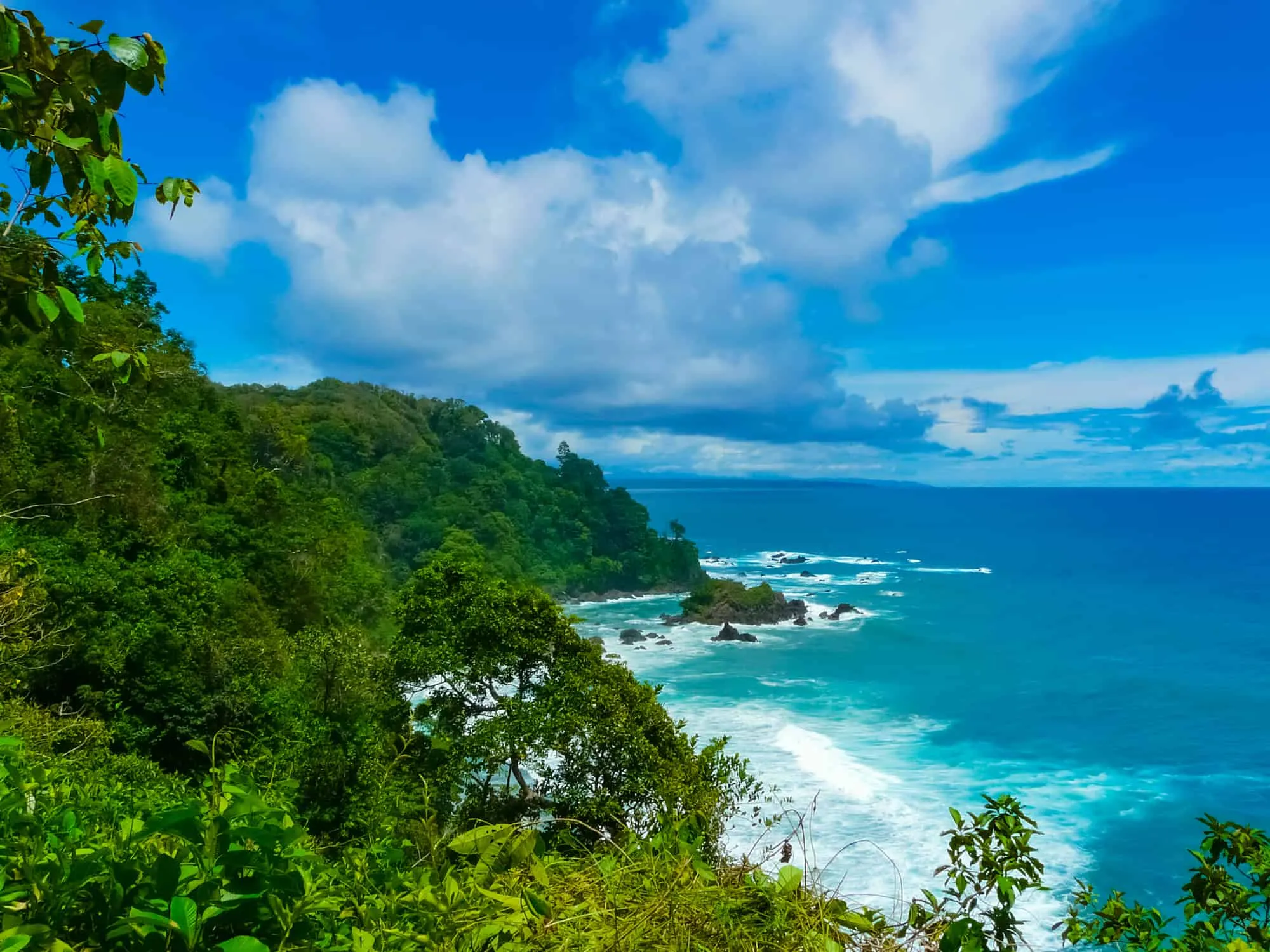 top reasons to visit corcovado national park
