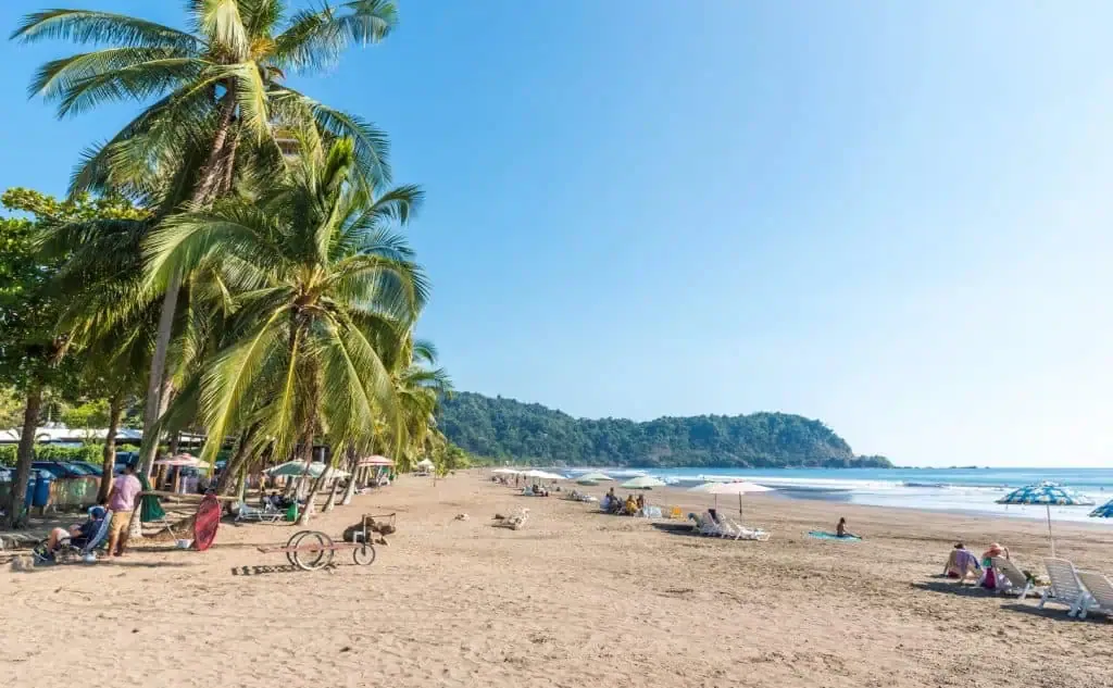 Tropical Jaco Beach scene in Costa Rica with palm trees, lounging visitors, and clear blue skies.