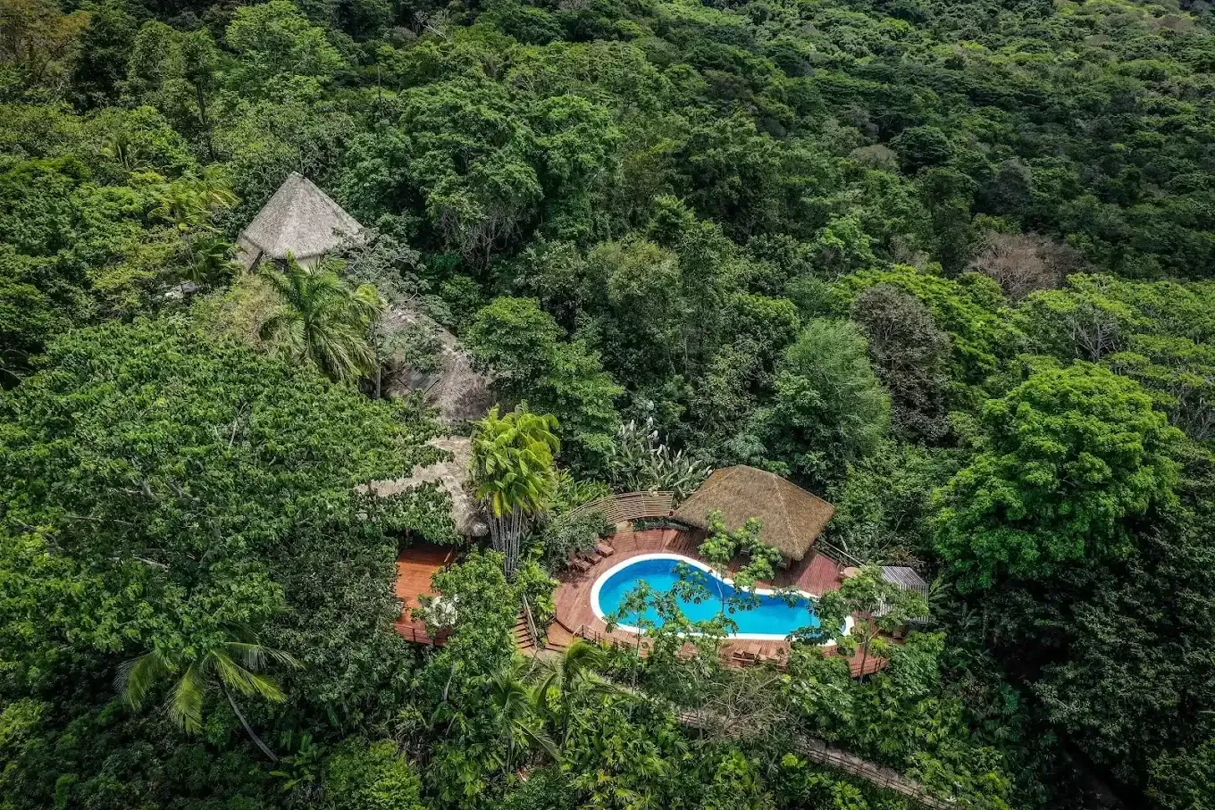 Aerial view of a small resort with a thatched-roof building and a kidney-shaped pool surrounded by dense tropical forest.