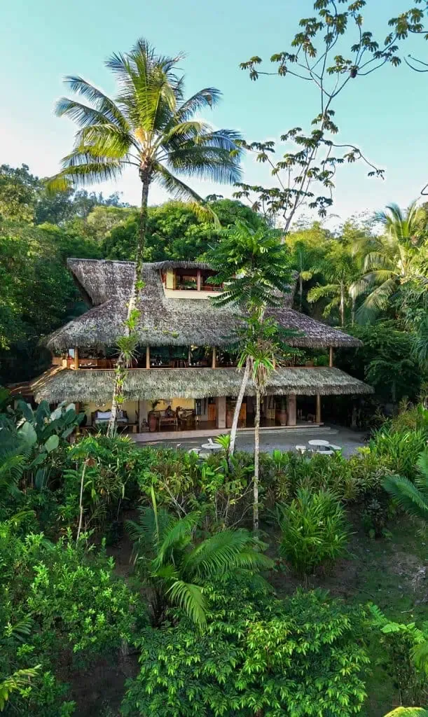 A tropical thatched-roof house surrounded by lush green plants and tall palm trees, set in a dense, verdant landscape.
