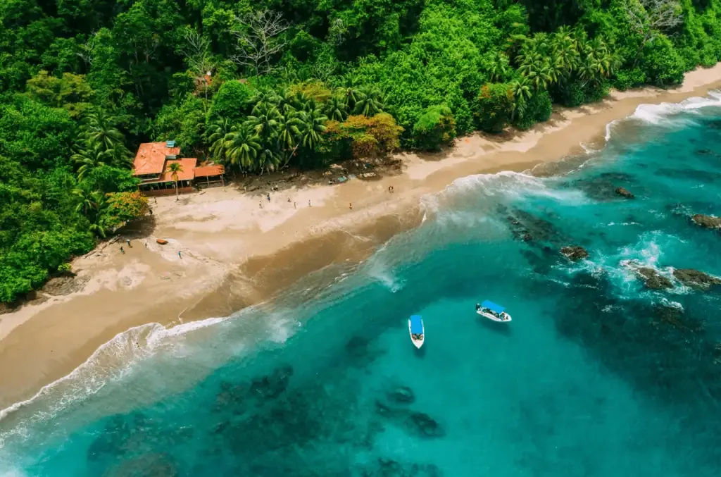 OSA Peninsula Comprehensive Trip Guide For First-Time Travelers