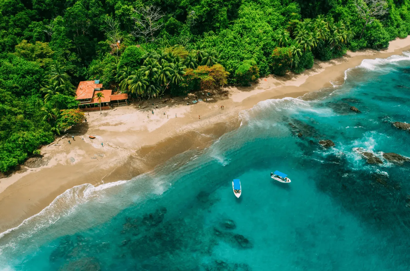 OSA Peninsula Comprehensive Trip Guide For First-Time Travelers