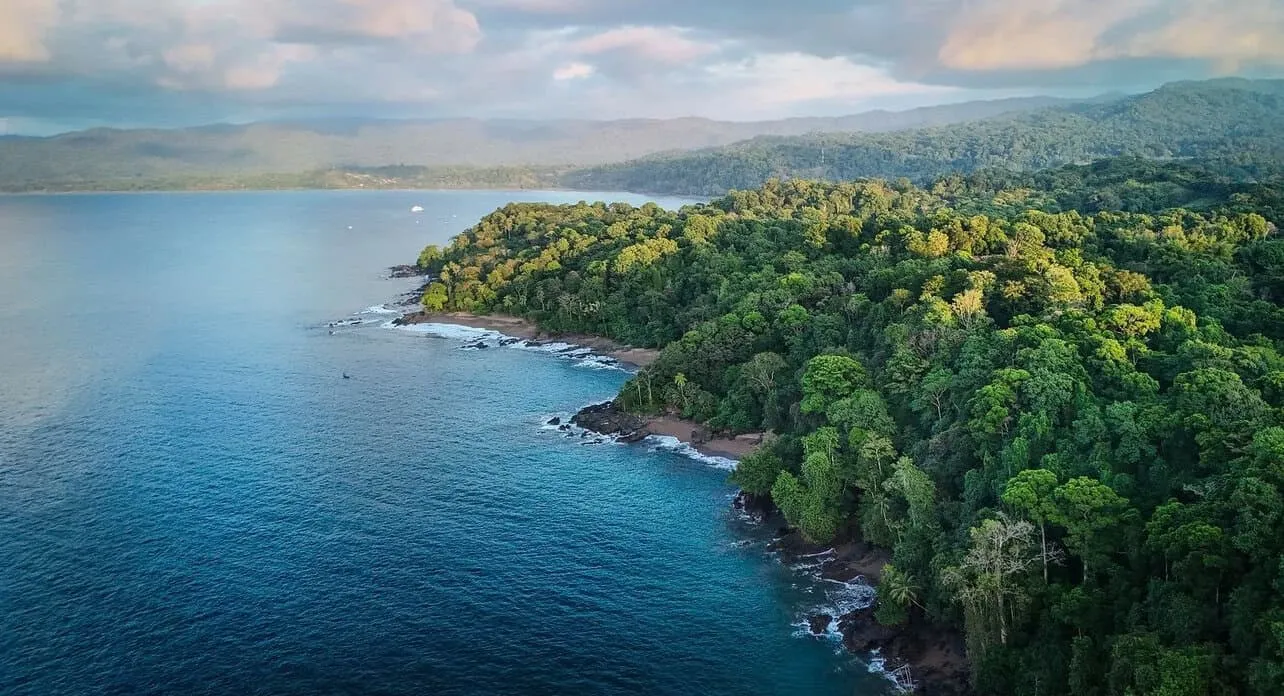 Aerial view of a lush green coastal rainforest with rocky shoreline meeting clear blue ocean under a partly cloudy sky.