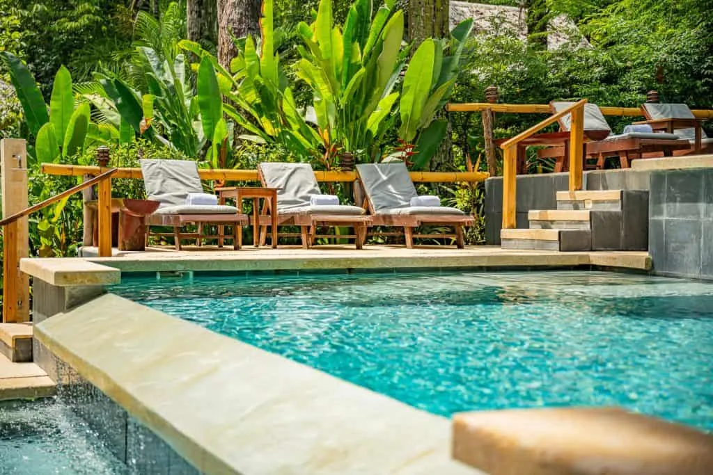 Outdoor swimming pool with clear water, surrounded by cushioned wooden lounge chairs and dense green tropical plants in the background.