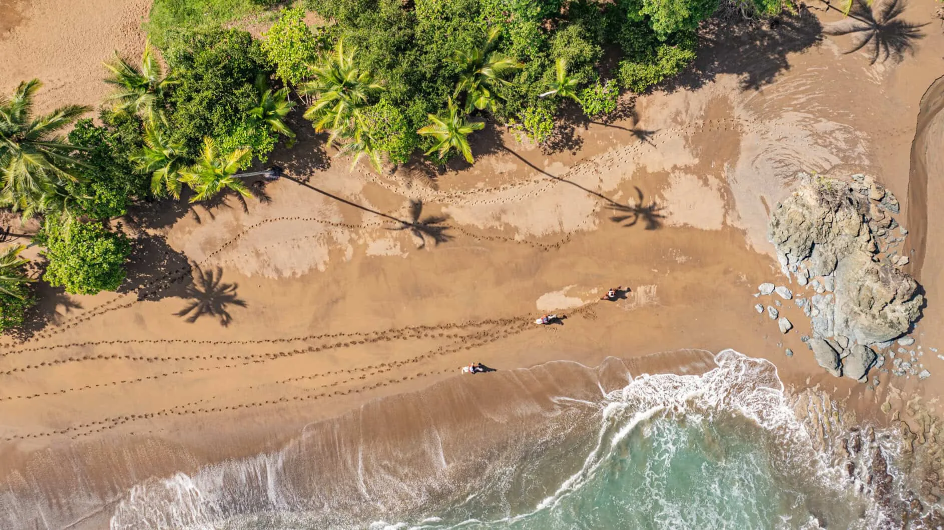 Aerial view of a sandy beach with palm trees, footprints, three people riding horses, rocks, and ocean waves along the shore.