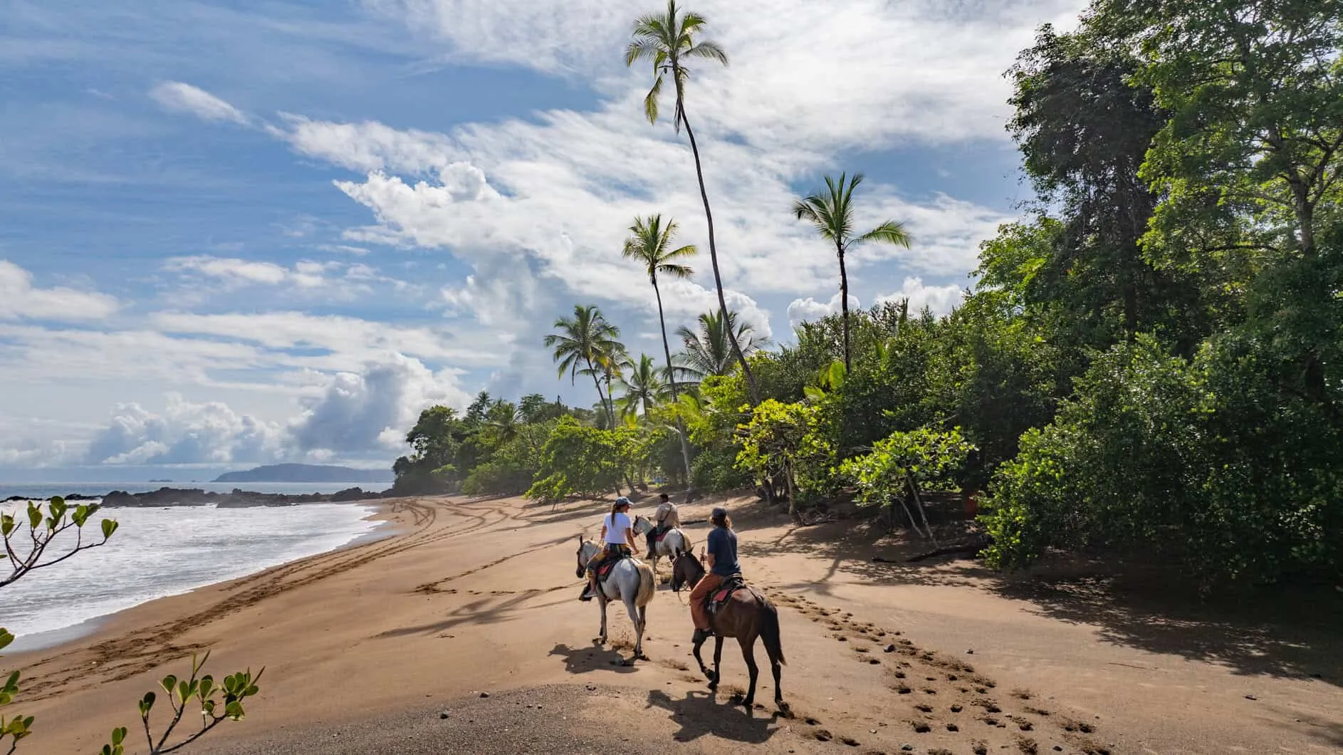 Three people ride horses along a sandy beach lined with palm trees, with ocean waves on one side and dense greenery on the other under a partly cloudy sky.