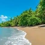 A sandy beach with gentle waves, bordered by dense green palm trees and vegetation under a clear blue sky.
