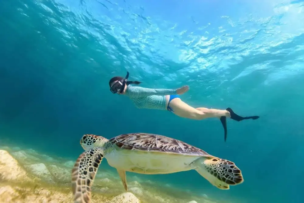 A person in snorkeling gear swims underwater near a sea turtle above a rocky seabed, both surrounded by clear blue water.