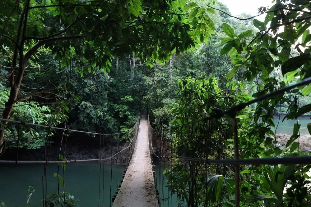 A narrow suspension bridge crosses over a river, surrounded by dense green forest on both sides.