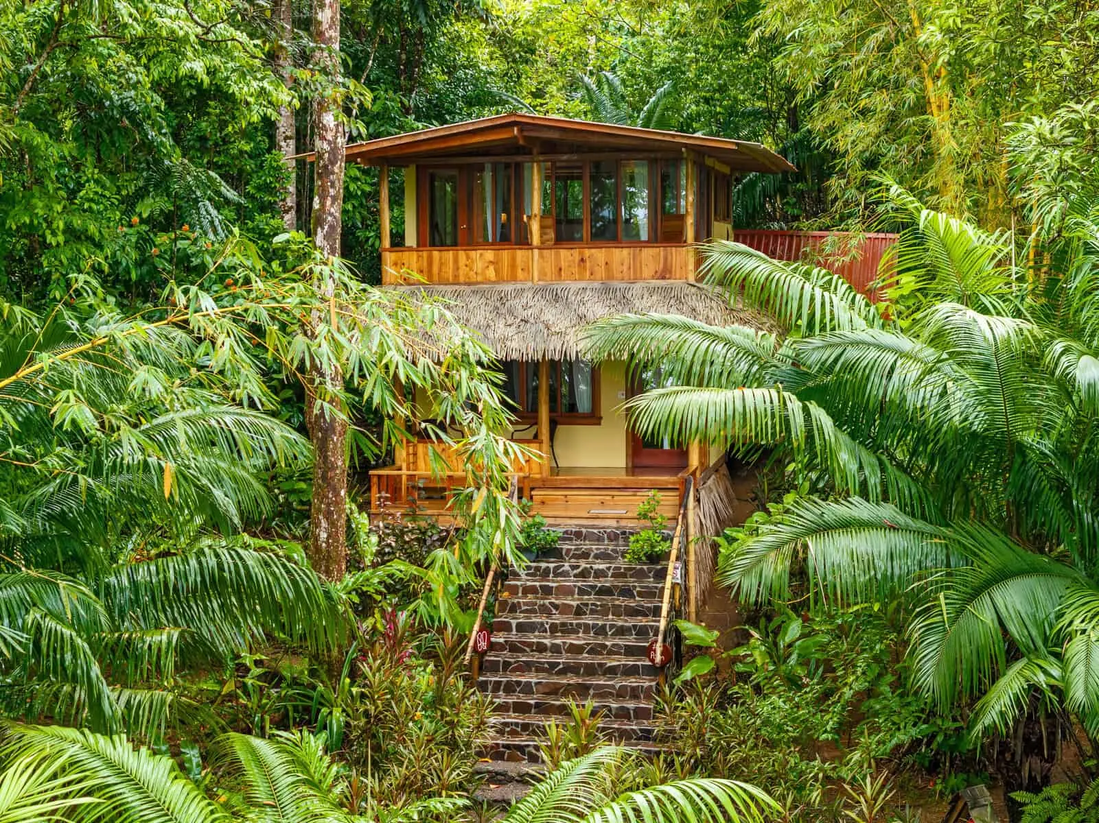 A two-story wooden house with large windows and a thatched roof is surrounded by dense tropical greenery and stone steps leading to the entrance.