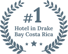 Emblem with laurel wreaths and stars reads “#1 Hotel in Drake Bay Costa Rica.” Enjoy this prestige with an Online Exclusive Deal.