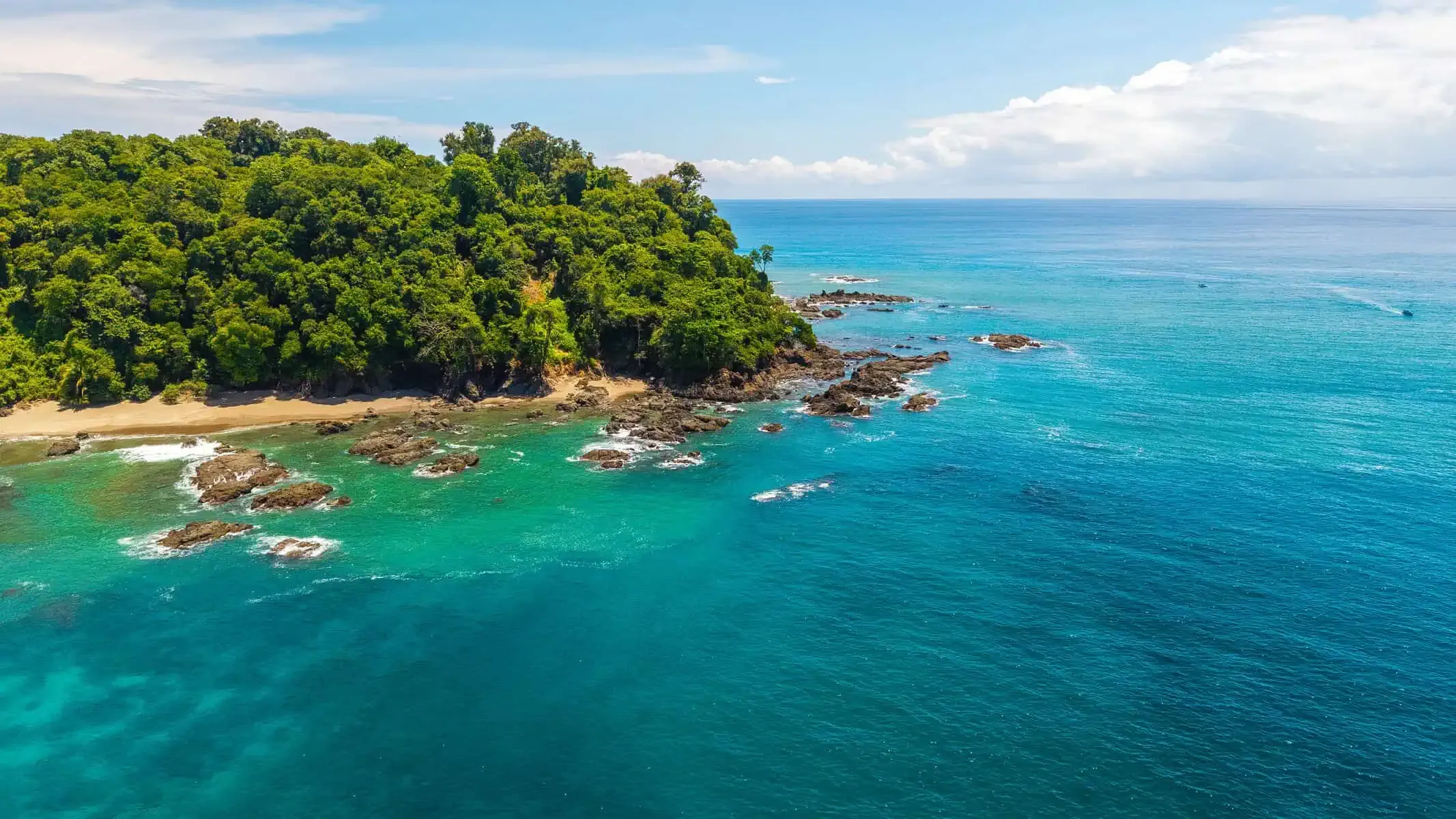 A small island with trees in the water.