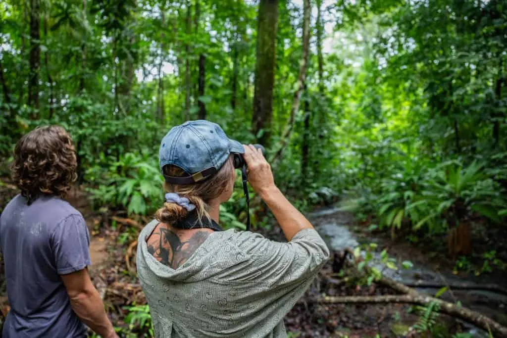 Two people stand in a dense forest; one is holding binoculars and looking ahead, while the other observes the surroundings.