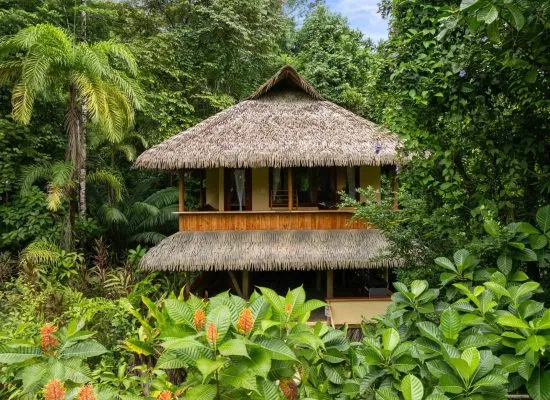 A thatched-roof, two-story wooden building is surrounded by lush tropical vegetation.