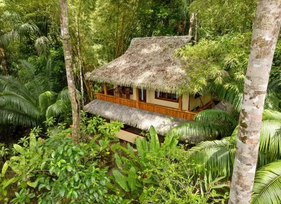 A two-story house with a thatched roof is surrounded by dense green foliage and tall trees in a lush, tropical forest.