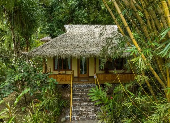 A small house with a thatched roof and stone steps, surrounded by dense green vegetation and bamboo in a tropical setting.