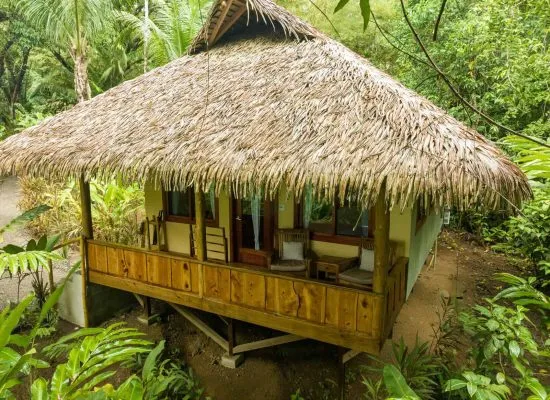 A small, elevated wooden house with a thatched roof is surrounded by lush green foliage, featuring a porch with chairs.