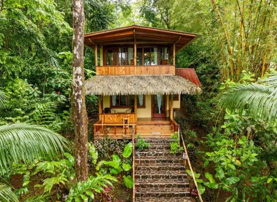 Two-story wooden house with a thatched roof porch, situated in a lush, green forest with a stone pathway leading to the entrance.